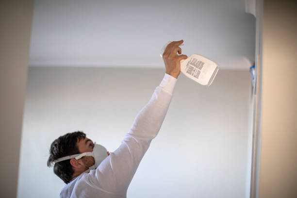 Crown Heights, NY Mold Removal Company