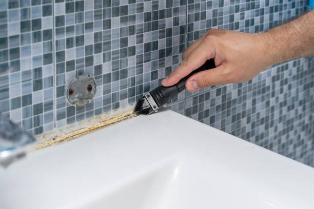 Best Mold Remediation  in Crown Heights, NY