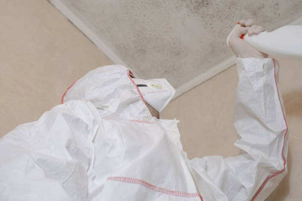 Best Professional Mold Removal  in Crown Heights, NY